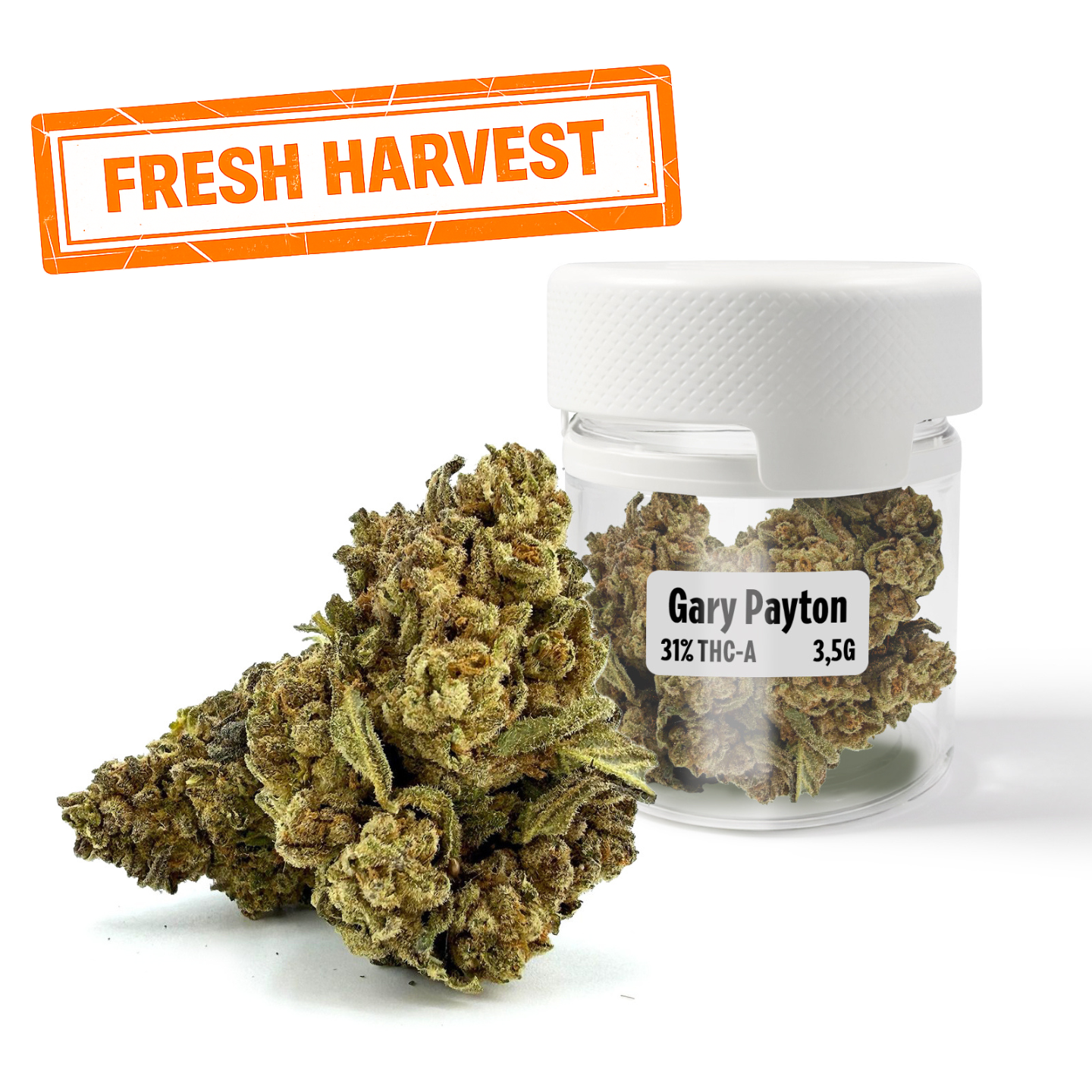 THC-A 31% Flower Gary Payton