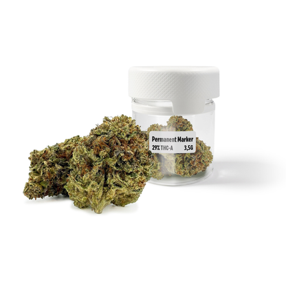ROLLZ Permanent Marker THCA flower 29% THC-A in 3.5g product jar