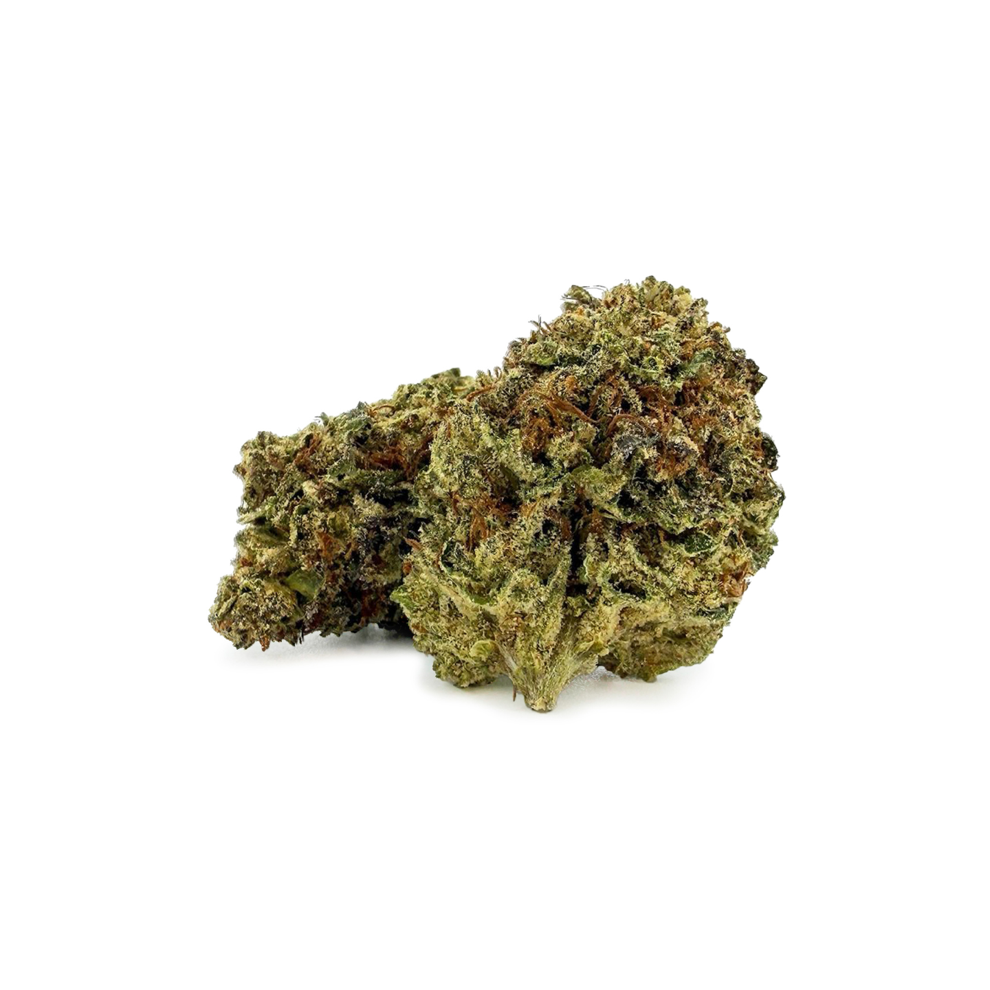 Close-up of ROLLZ Permanent Marker THCA flower with resinous texture and orange pistils