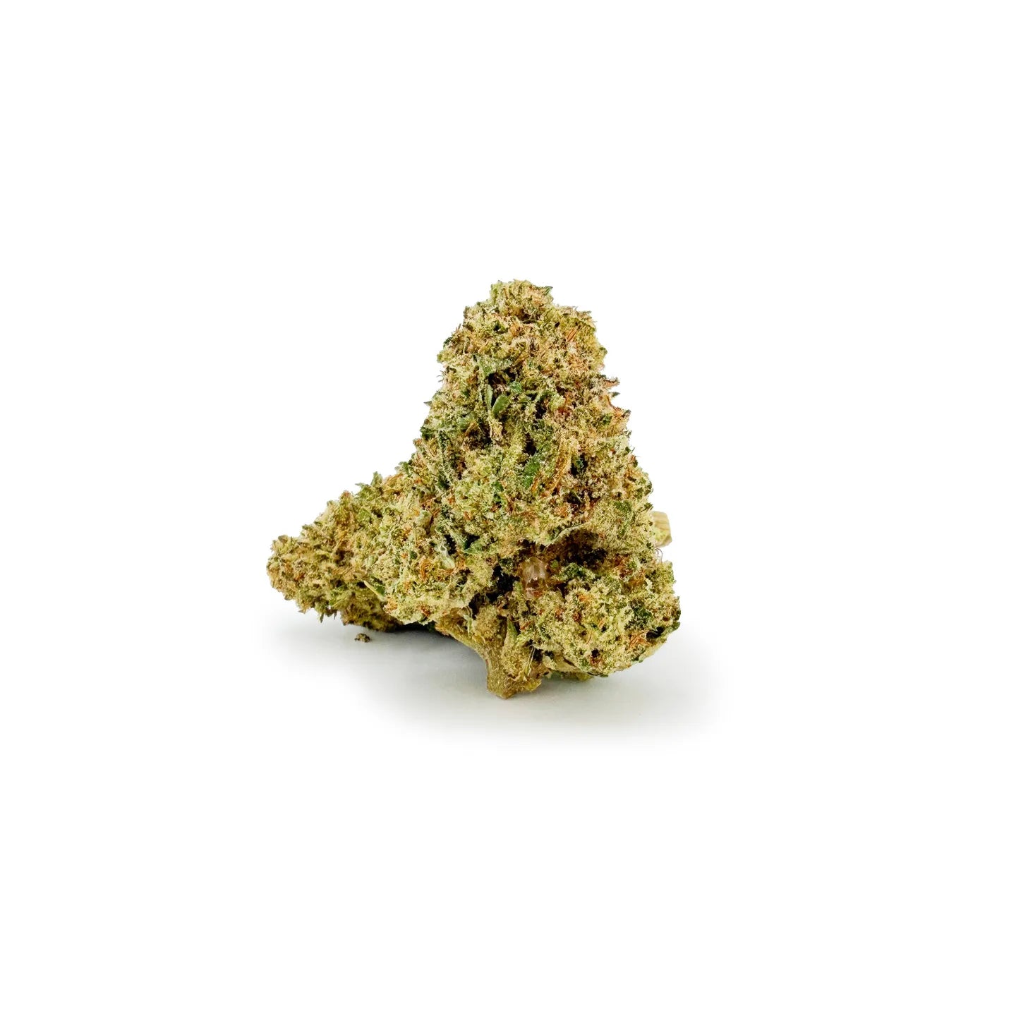 Close-up of ROLLZ Do-Si-Dos x Gelato THCA flower with frosty texture and orange pistils