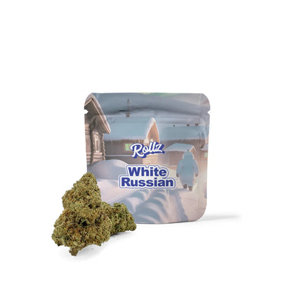 White Russian THCA indoor dried cannabis flower Glookies by Rollz – own cultivation and production.