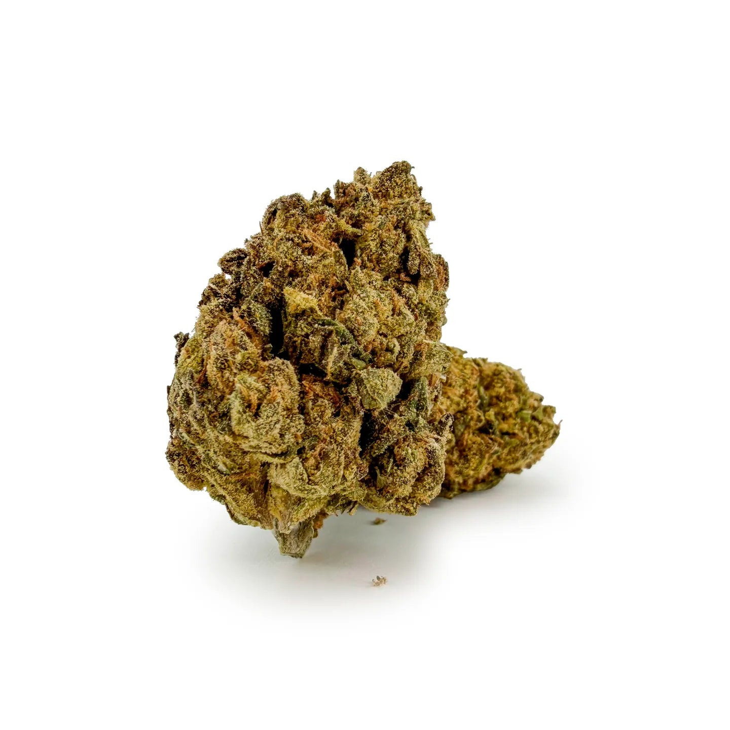 Blueberry Muffin THCA Blomst