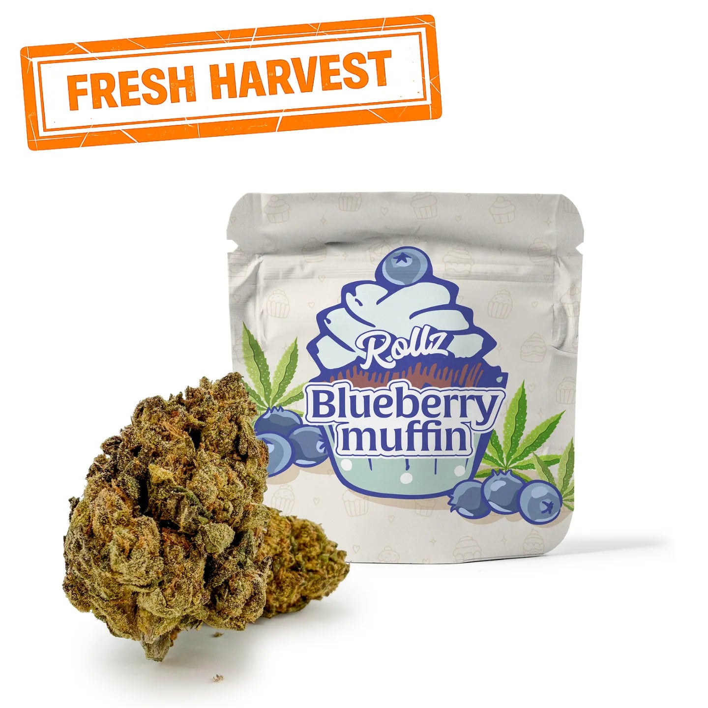Blueberry Muffin THCA Blomst