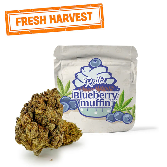 Blueberry Muffin THCA Flower