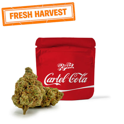 ROLLZ Cartel-Cola THCA flower in red pouch with Fresh Harvest stamp