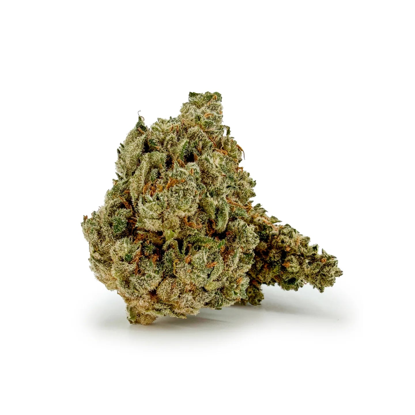 Close-up of ROLLZ Do-Si-Dos x Gelato THCA flower with frosty texture and orange pistils