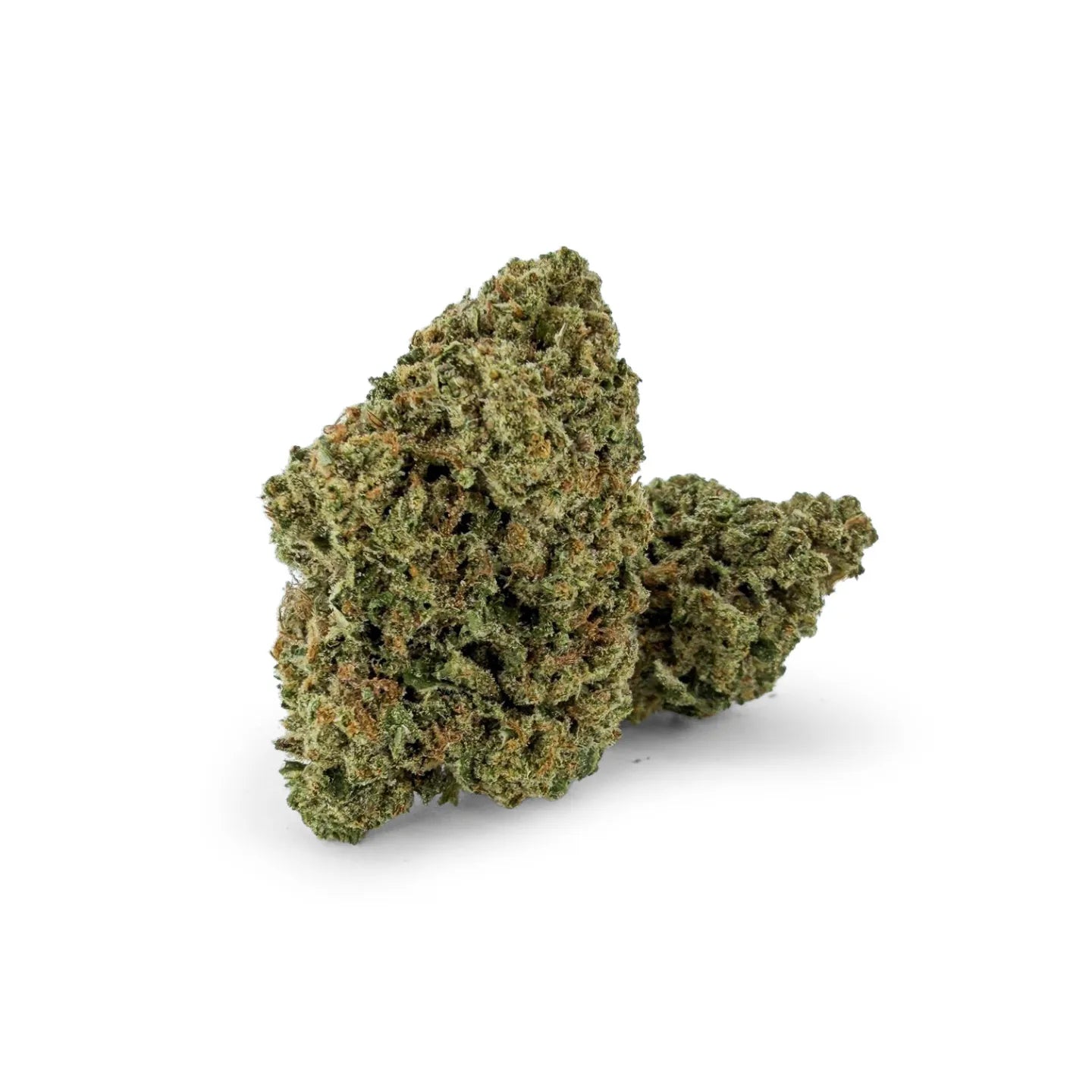 Close-up of Rollz Happy Weedz Frosted Sunset indoor THCA cannabis flower buds with a frosty look and orange hairs on a white background