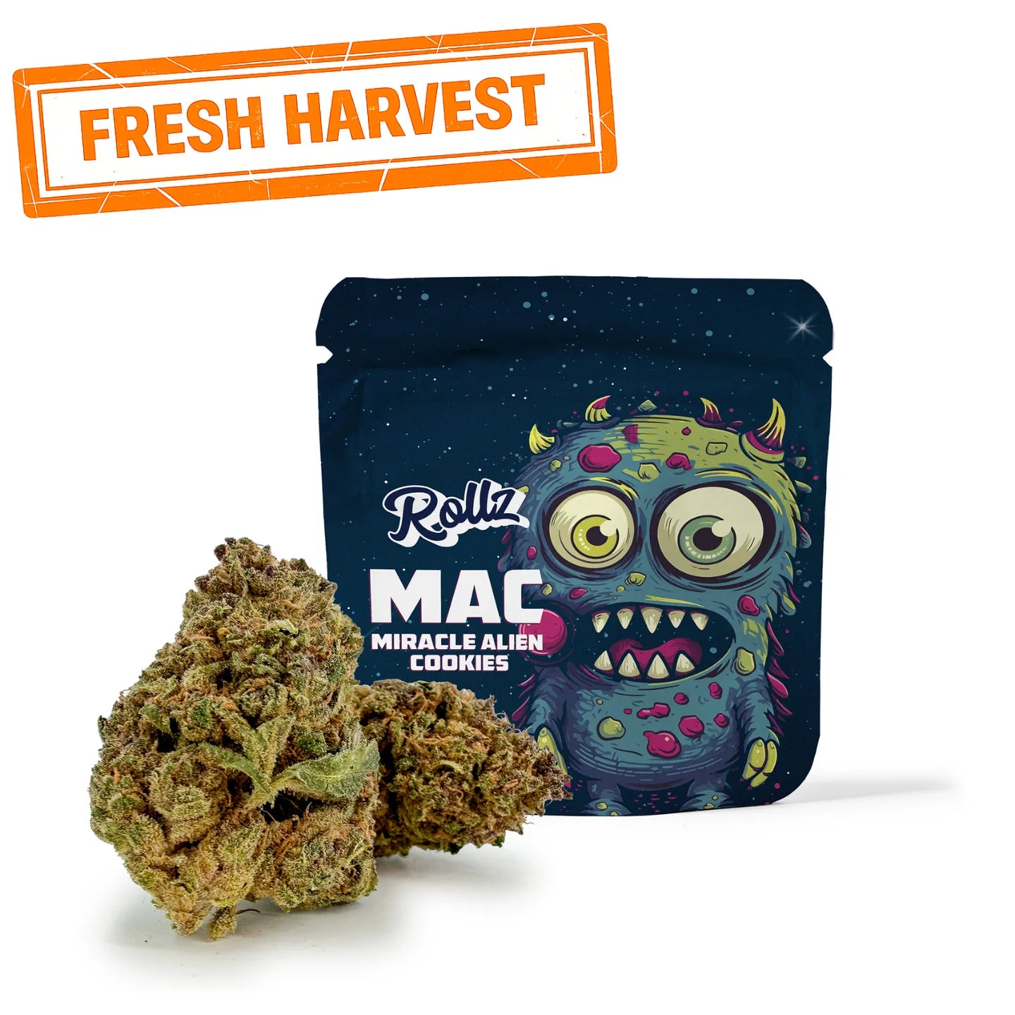 Rollz Miracle Alien Cookies THCA indoor dried cannabis flower – own cultivation and production. Fresh Harvest