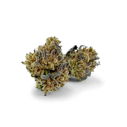 Close-up of Rollz Montgomery Benz indoor THCA dried cannabis flower buds on a white background