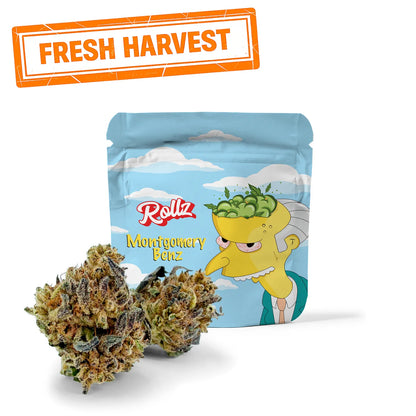 Rollz Montgomery Benz THCA indoor flower pouch with cartoon design and dried cannabis flower in front on a white background - Fresh Harvest