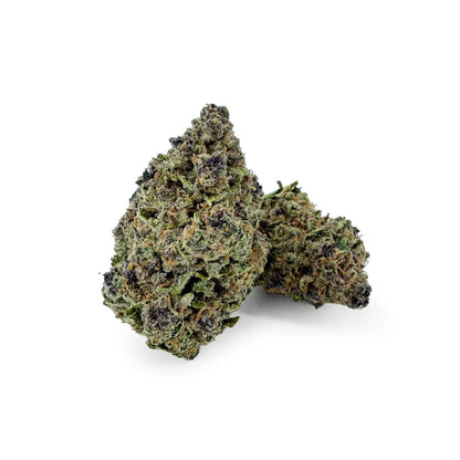 Rollz SNIFFERS indoor THCA dried flower buds on a white background, premium quality cannabis flower with dense structure and natural colour