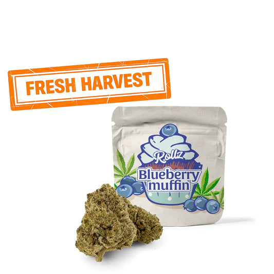 Blueberry Muffin THCA Blomst