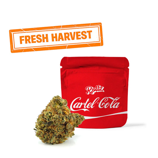 Cartel Cola THCA Blomst