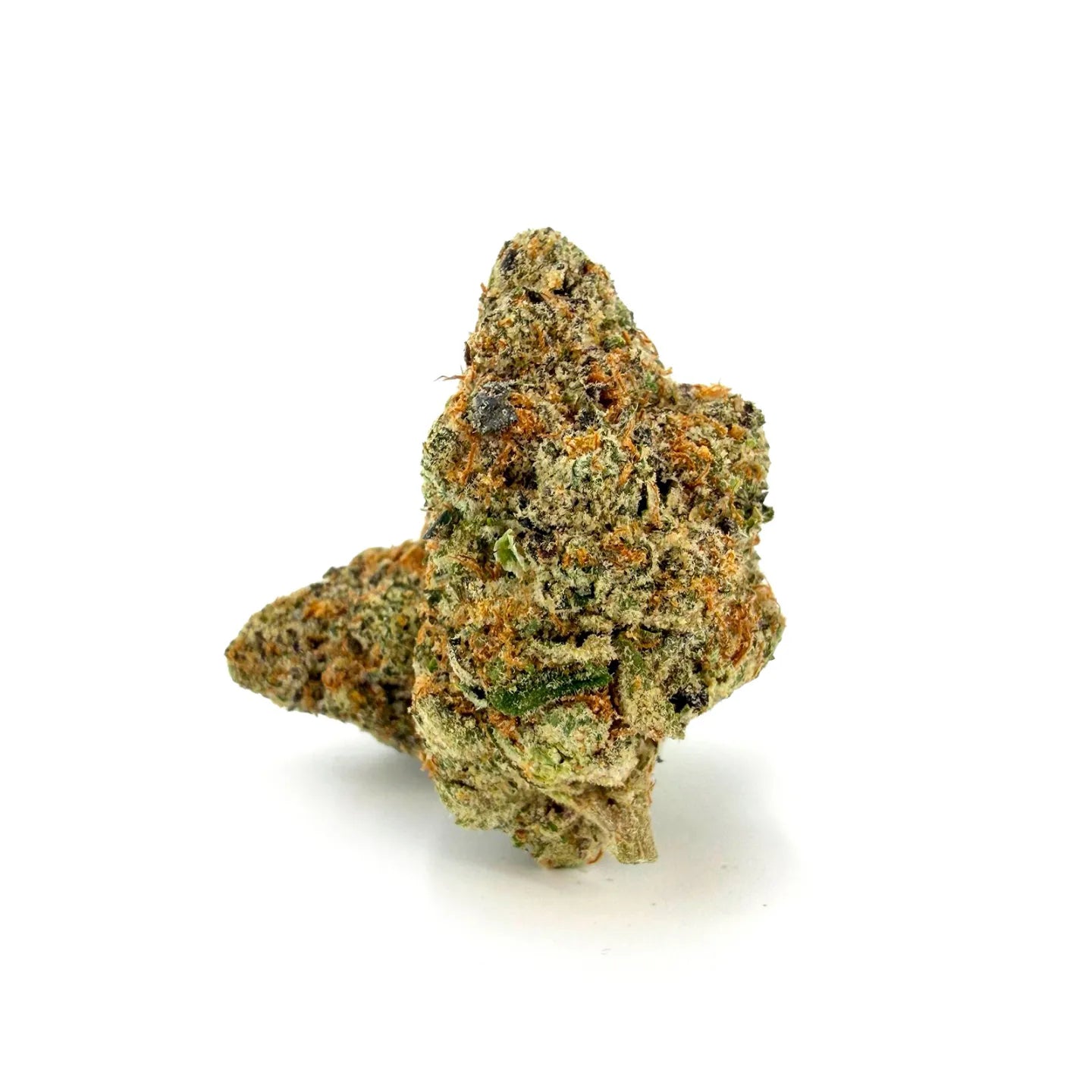 Close-up of ROLLZ Do-Si-Dos x Gelato THCA flower with frosty texture and orange pistils