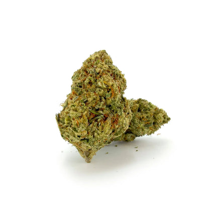 Close-up of ROLLZ Sniffers THCA flower with compact green bud and orange pistils