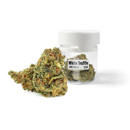 ROLLZ White Truffle THCA flower 29% THC-A in 3.5g jar with premium bud