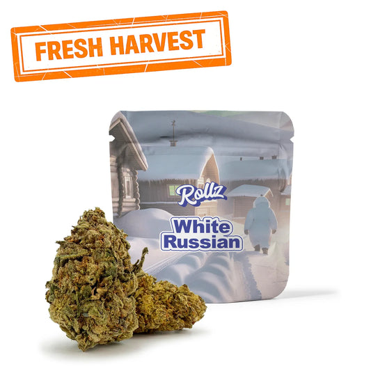 White Russian THCA Flower
